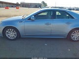 Miniaturka zdjęcia 6