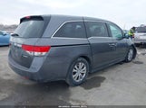 Honda Odyssey Se 5FNRL5H3XGB150042 fotografie