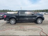 Ford F-150 Platinum 1FTFW1ETXDFA90147 снимка
