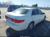 Honda Accord 3.0 Ex 1HGCM66565A020036 снимка