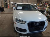 Miniaturka zdjęcia 6