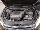 Honda Accord Crosstour Ex-L 5J6TF2H59AL011631 fotografie
