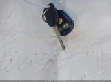Miniaturka zdjęcia 11