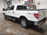 Ford F-150 Xlt 1FTFW1ET5DKE45605 снимка