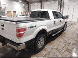 Ford F-150 Xlt 1FTFW1ET5DKE45605 снимка
