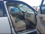 Miniaturka zdjęcia 5