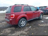 Ford Escape Xlt 1FMCU9D7XBKA78219 снимка