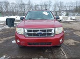 Ford Escape Xlt 1FMCU9D7XBKA78219 снимка