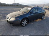 Acura Tsx JH4CL96924C040078 снимка