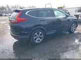 Miniaturka zdjęcia 4