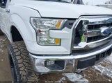 Ford F-150 Xlt 1FTFW1EG7FFA42904 снимка