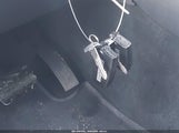 Miniaturka zdjęcia 11