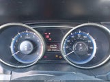 Miniaturka zdjęcia 7