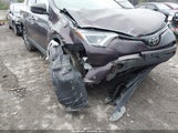 Miniaturka zdjęcia 6