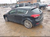 Miniaturka zdjęcia 3