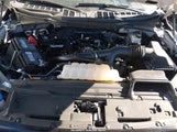 Ford F-150 Xlt 1FTEW3KP2RKD66253 снимка