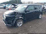 Miniaturka zdjęcia 2