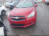 Miniaturka zdjęcia 6
