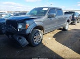 Ford F-150 Platinum 1FTFW1EFXCFA74474 снимка