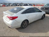 Hyundai Sonata Se 5NPE24AF3GH387621 снимка