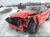 Miniaturka zdjęcia 6