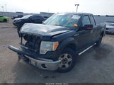 Ford F-150 Xlt 1FTEX1CM2EKE89261 снимка