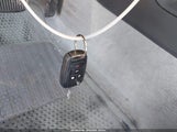 Miniaturka zdjęcia 11