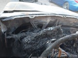 Ford Bronco U100 1FMEU15N0LLB20951 снимка