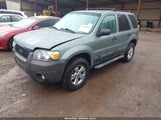 Ford Escape Xlt 1FMYU03Z27KB96812 снимка