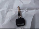 Miniaturka zdjęcia 11