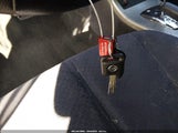 Miniaturka zdjęcia 11