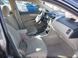 Toyota Corolla Le 5YFBU4EE2DP092586 fotografie