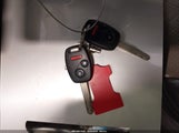 Miniaturka zdjęcia 11