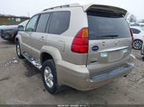 Miniaturka zdjęcia 3
