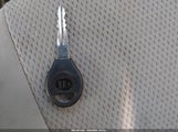 Miniaturka zdjęcia 11