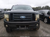 Ford F-150 Fx4/Harley-Davidson/King Ranch/Lariat/Platinum/Xl/Xlt 1FTFW1EVXAFC30615 fotografie