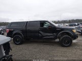 Ford F-150 Fx4/Harley-Davidson/King Ranch/Lariat/Platinum/Xl/Xlt 1FTFW1EVXAFC30615 fotografie