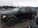 Ford F-150 Fx4/Harley-Davidson/King Ranch/Lariat/Platinum/Xl/Xlt 1FTFW1EVXAFC30615 fotografie
