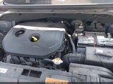Miniaturka zdjęcia 10