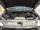 Ford F-150 Xlt 1FTEW1EP6MKD99328 снимка