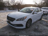 Hyundai Sonata Sport 5NPE34AF6HH546775 снимка