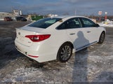 Hyundai Sonata Sport 5NPE34AF6HH546775 снимка