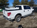Ford F-150 Xlt 1FTFW1EF6EKG02098 снимка