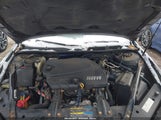 Miniaturka zdjęcia 10