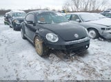 Miniaturka zdjęcia 6