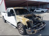 Ford F-150 Xlt 1FTFW1CT6EFB81906 снимка