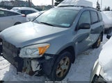 Toyota Rav4 JTMBD33V076031004 снимка