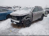 Kia Sorento X-Line Sx 5XYRKDJFXSG376746 photo