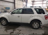 Ford Escape Limited 1FMCU9EGXBKC25234 снимка