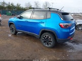 Jeep Compass Trailhawk 4X4 3C4NJDDB0MT519967 снимка